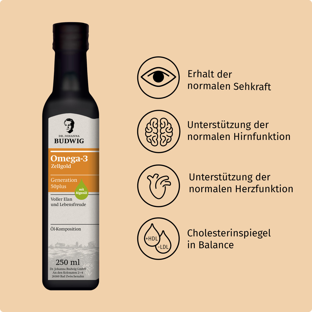 Kennenlern-Paket für die Generation 50plus