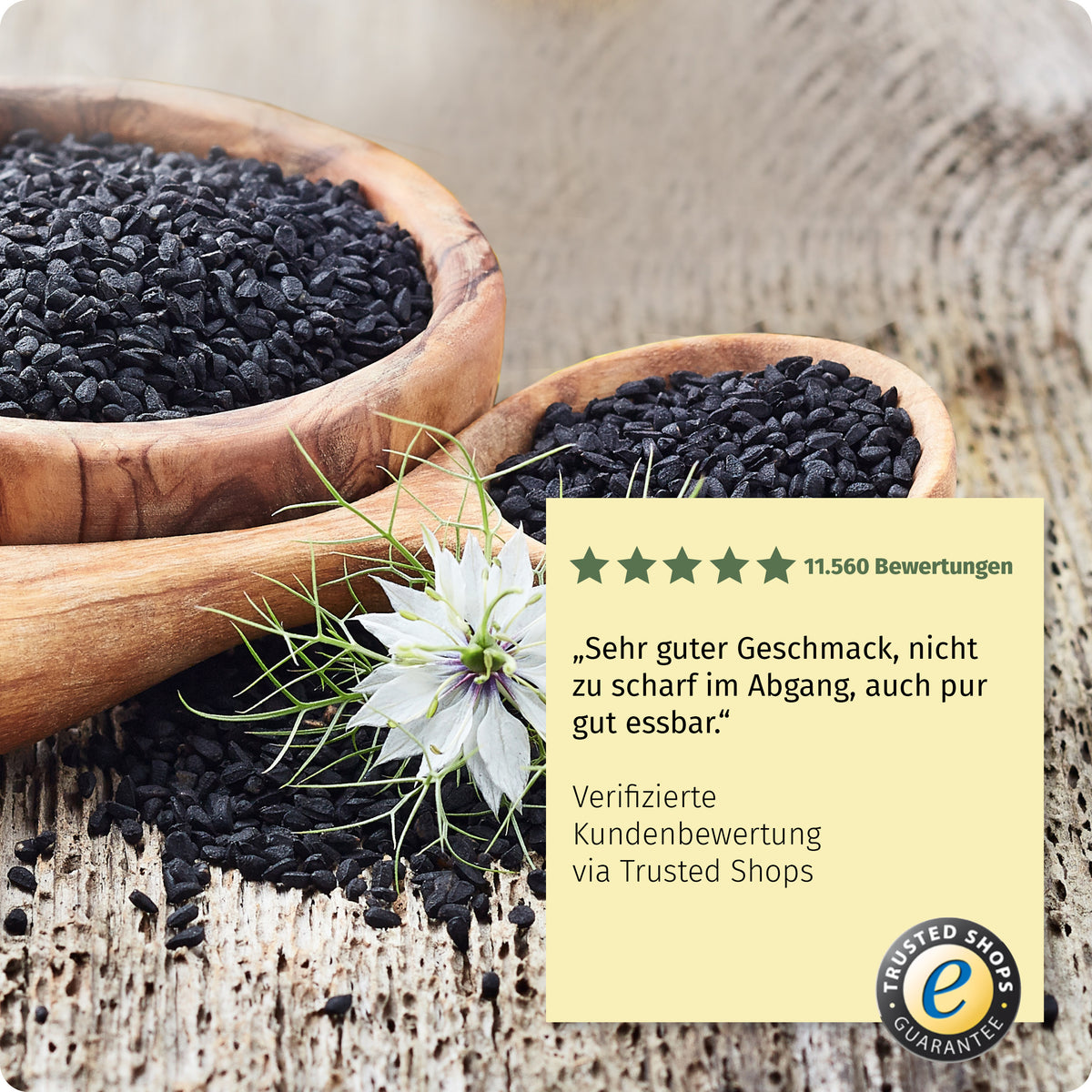 Schwarzkümmelöl Vorratspack (3x 100 ml) 