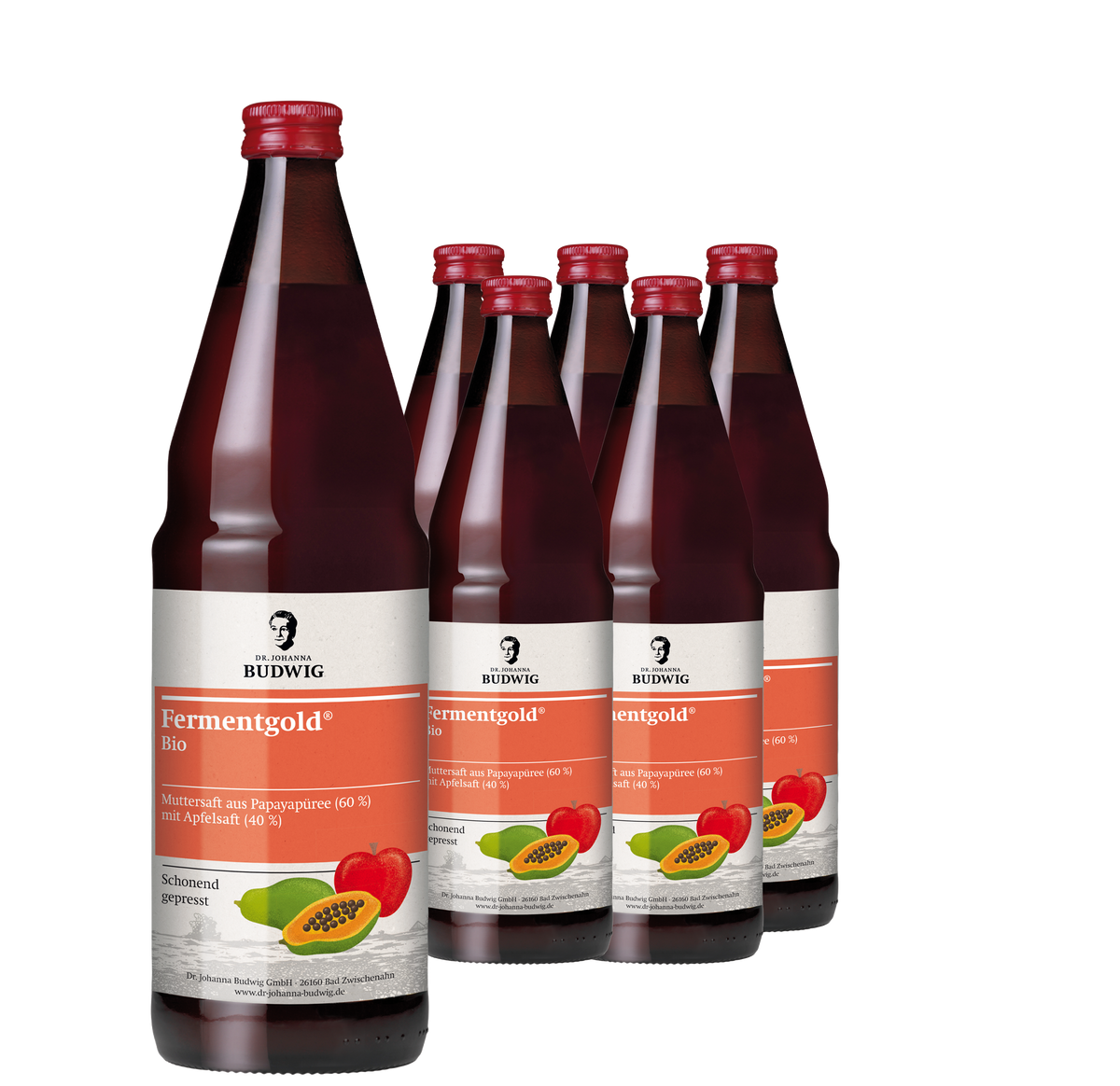 Fermentgold Pur 6er-Pack